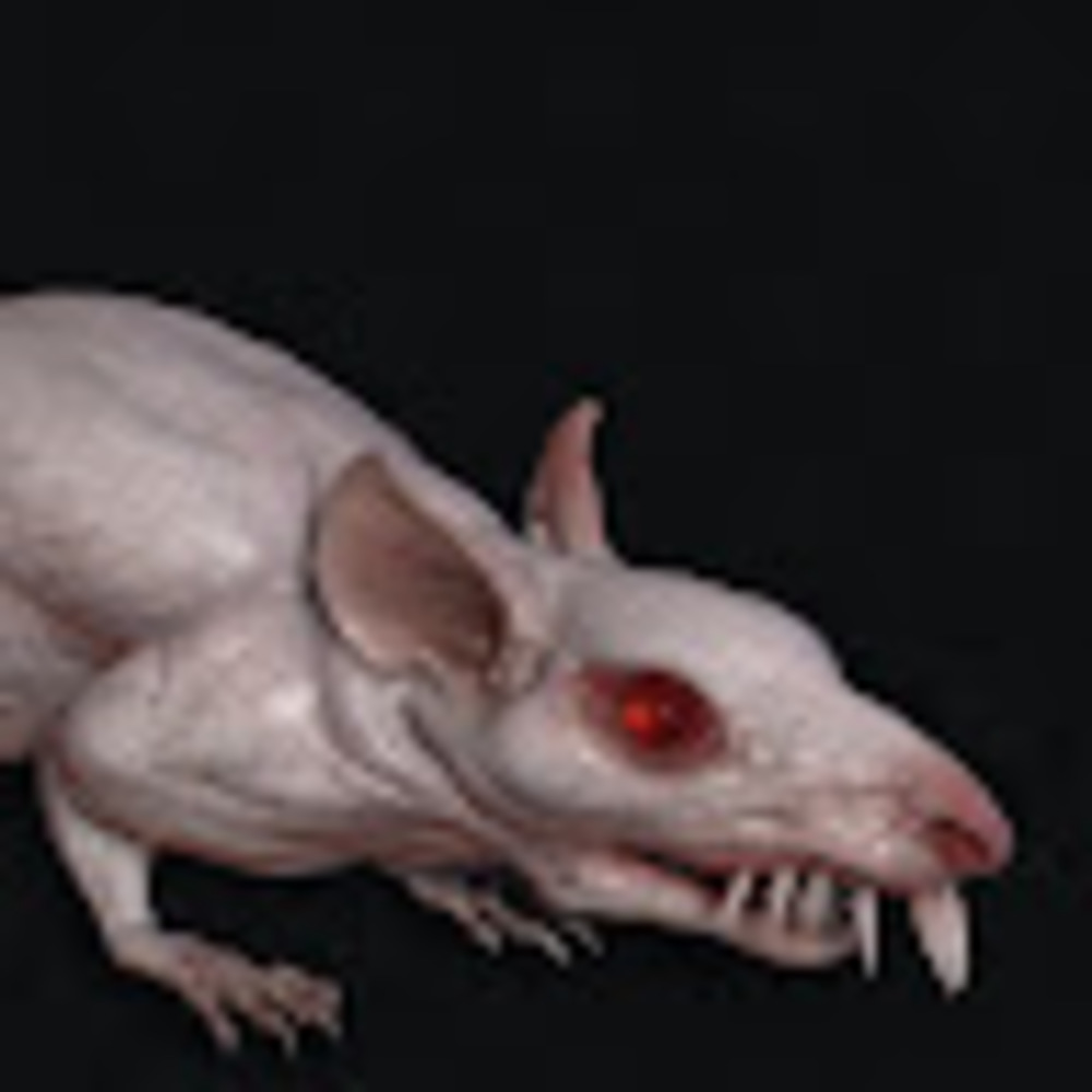 Meet your Posher, Betsy